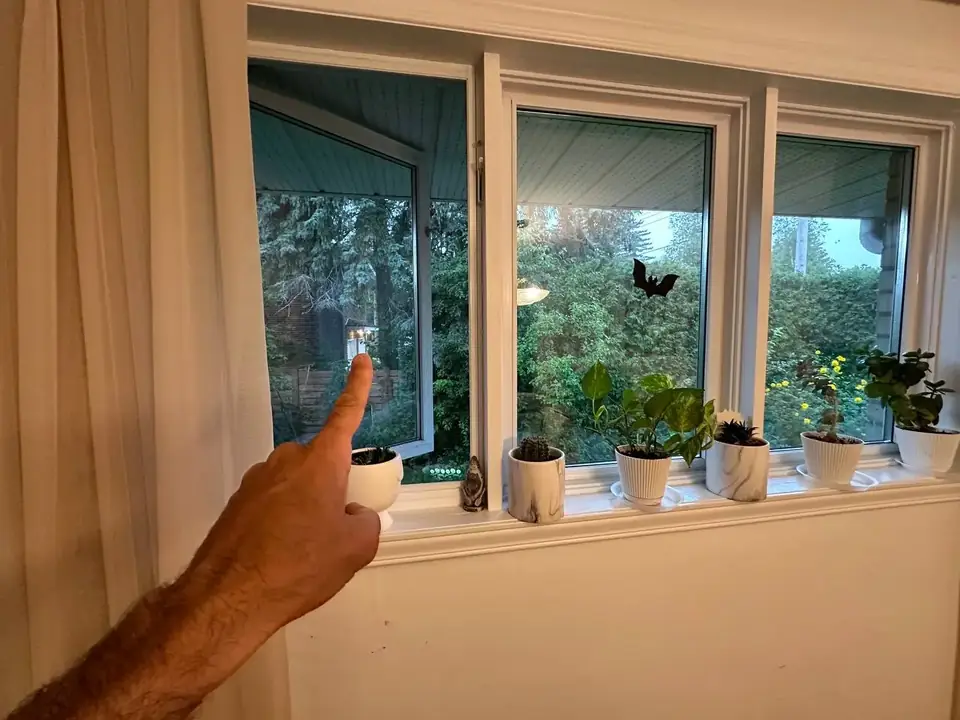 Windows — Project 1 — photo 2
