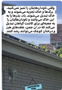 A clogged gutter on a residential home